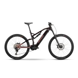 eBike MTB 29 Raymon TrailRay 150 Pro 2025