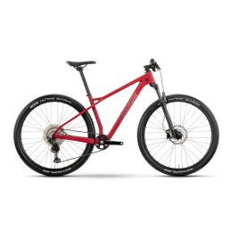 Bicicleta MTB 29 Raymon Arid Pro 2026 EXPO