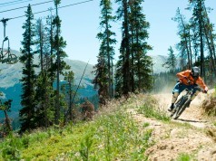 5 cubiertas para bike park