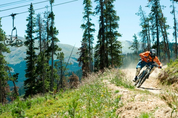 5 cubiertas para bike park