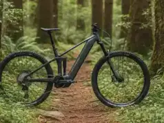 Nueva Raymon Korak: 100Nm de potencia Bosch