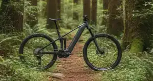 Nueva Raymon Korak: 100Nm de potencia Bosch