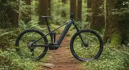 Nueva Raymon Korak: 100Nm de potencia Bosch