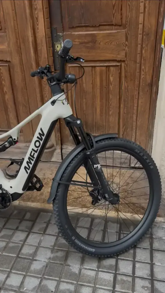 AMFLOW TL Carbon Horquilla y rueda delantera