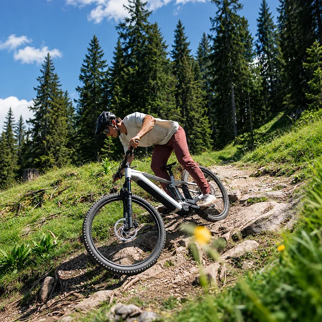 eBike MTB
